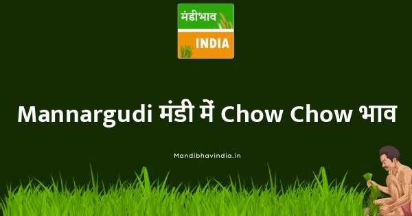 Chow Chow भाव